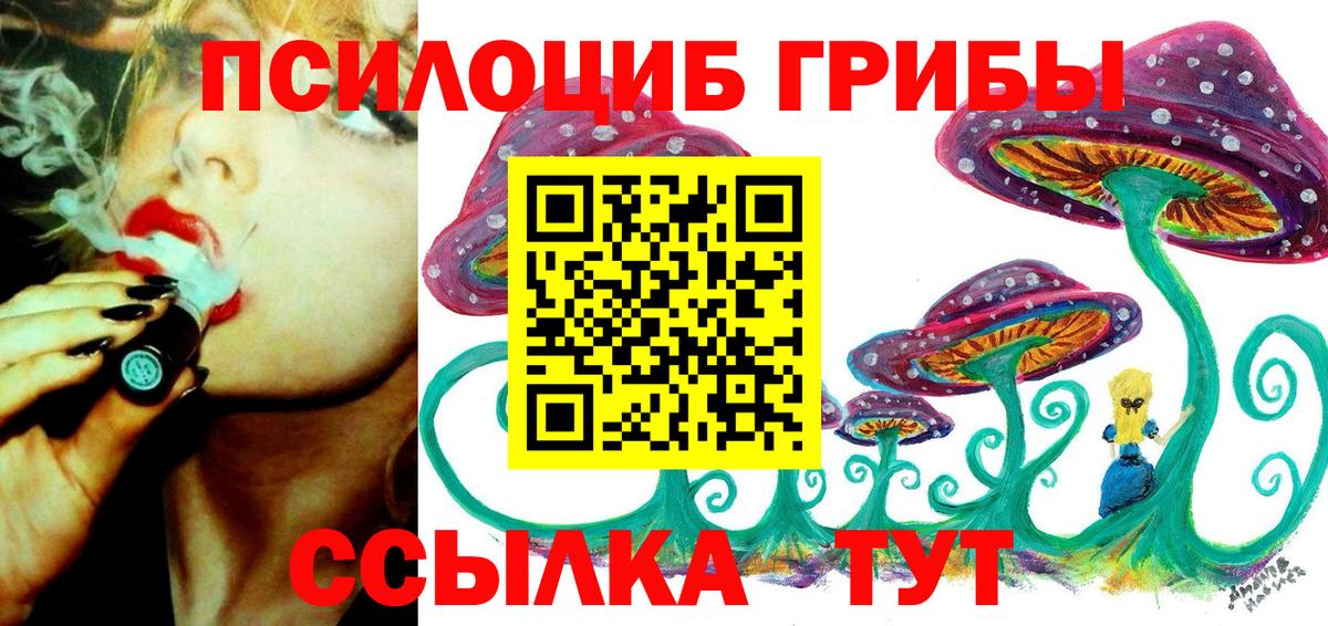 Новочеркасск  Псилоцибиновые грибы мухоморы  продажа наркотиков  Псилоцибиновые грибы ЛСД  Вход с VPN 